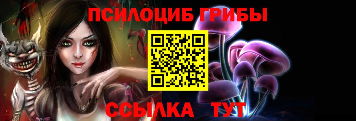 Псилоцибиновые грибы мухоморы  Вход с VPN  Верхняя Пышма  Галлюциногенные грибы прущие грибы 